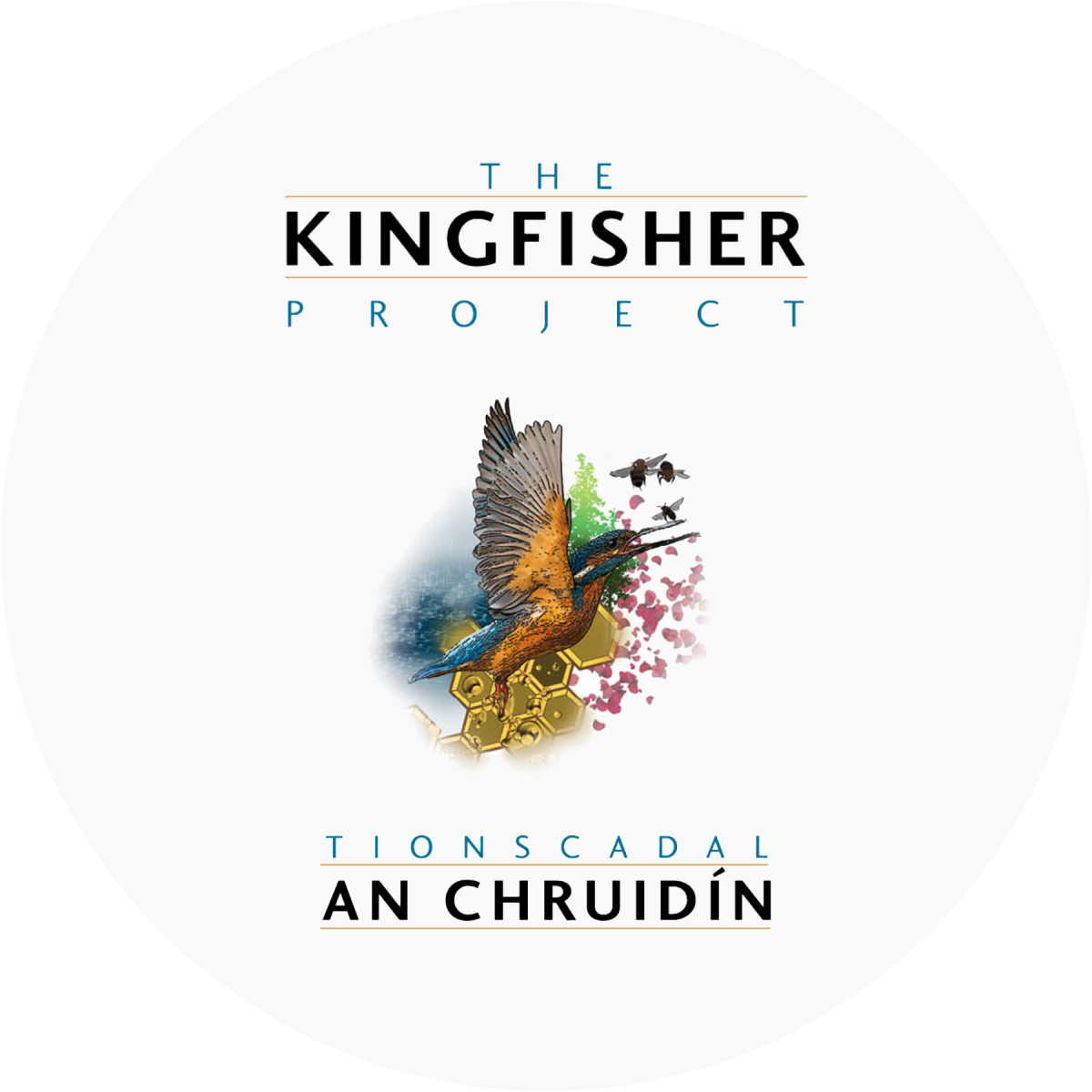 The Kingfisher Project