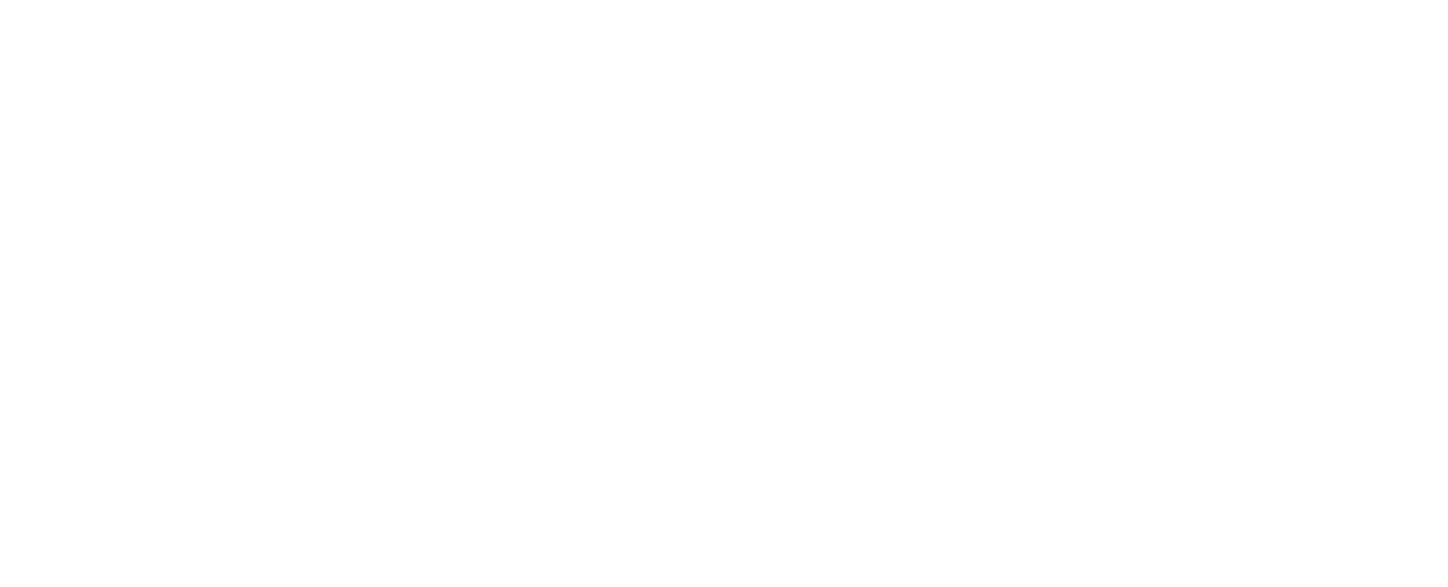 Dublin City Council 